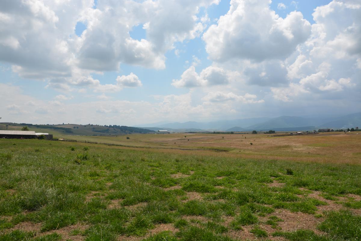 Hegyi legelő Omlás felett, a táj hasonló Picur afrikai telelőhelyéhez (fotó: Papp Ferenc)